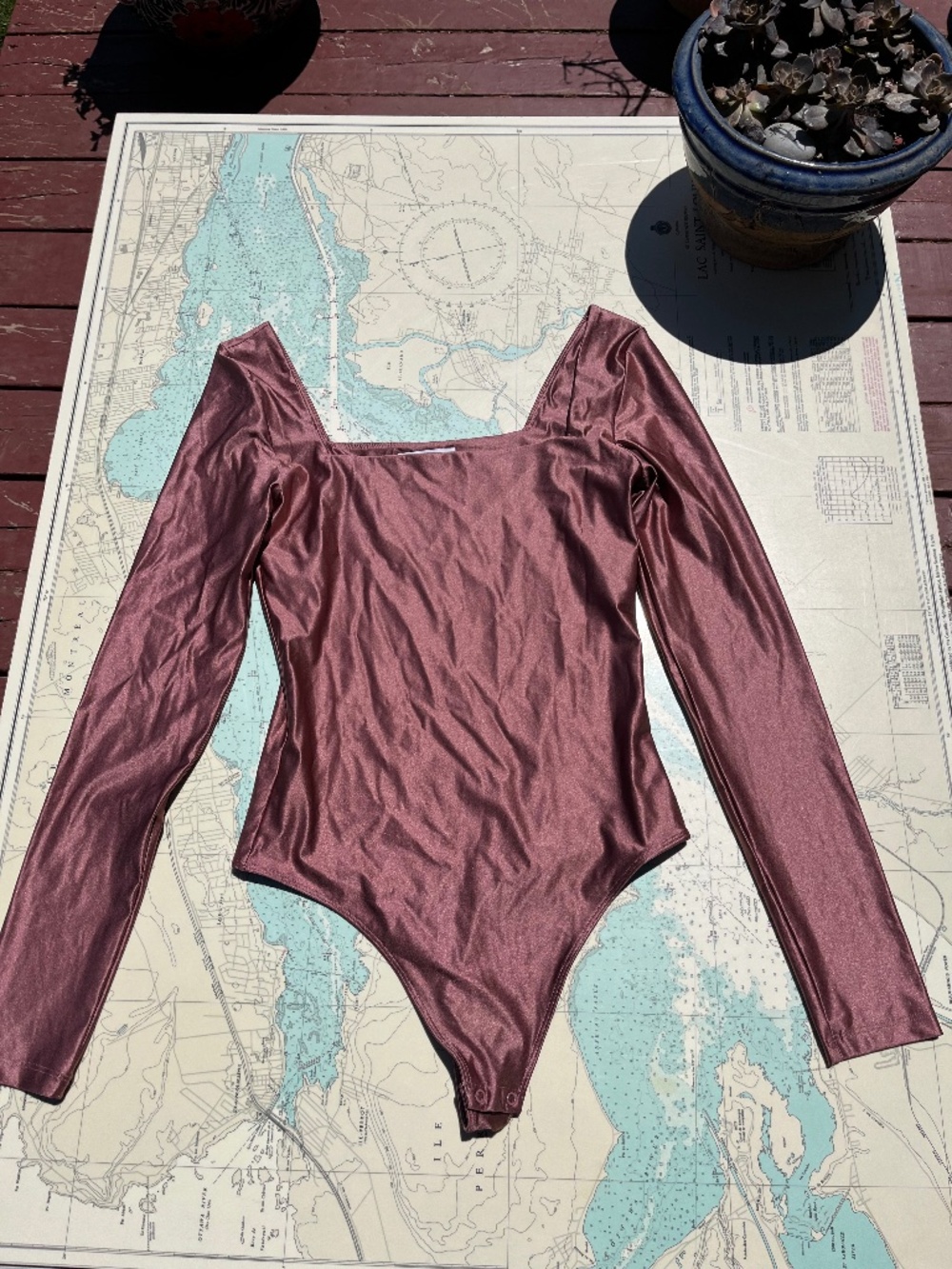Blush Babaton Long Sleeve Body Suit